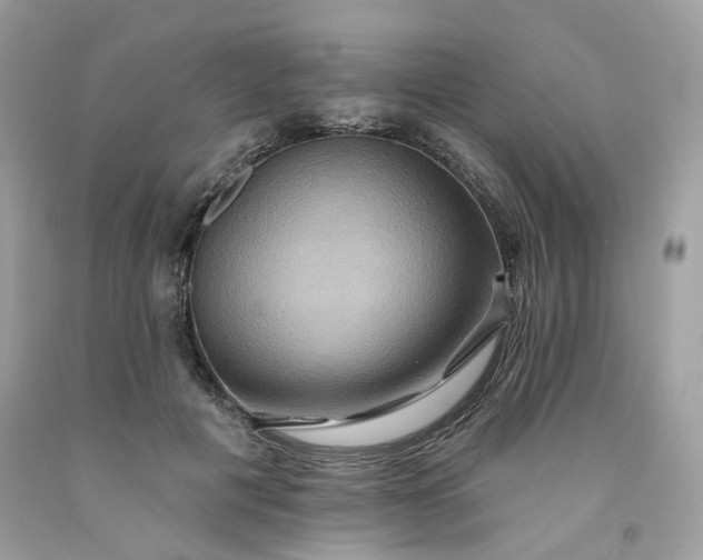 X0000091580601200709051102