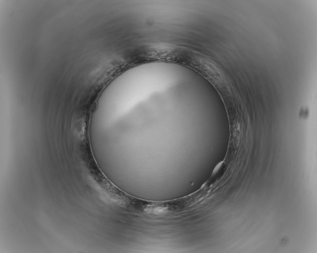 X0000091580602200709051102