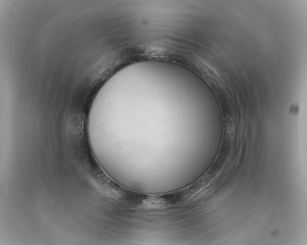 X0000091580603200709051102