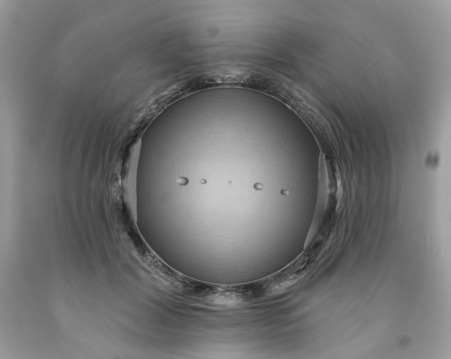 X0000091580604200709051102