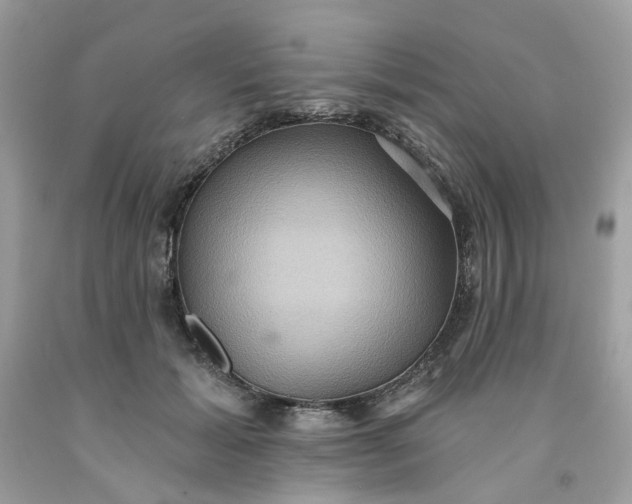 X0000091580605200709051102