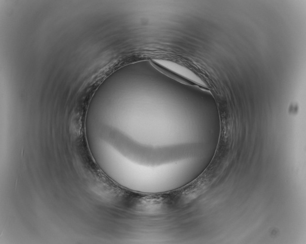 X0000091580606200709051102