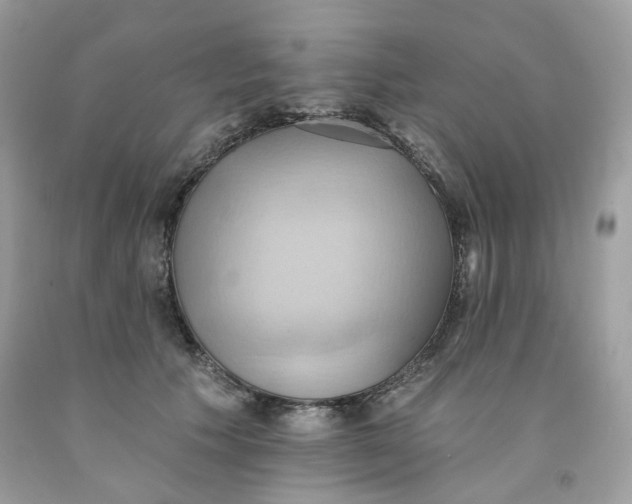 X0000091580609200709051102