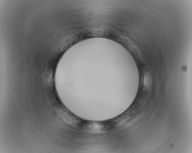 X0000091580610200709051102