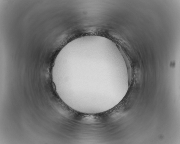 X0000091580611200709051102