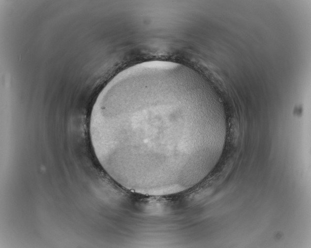 X0000091580612200709051102