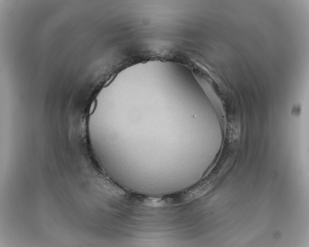 X0000091580613200709051102