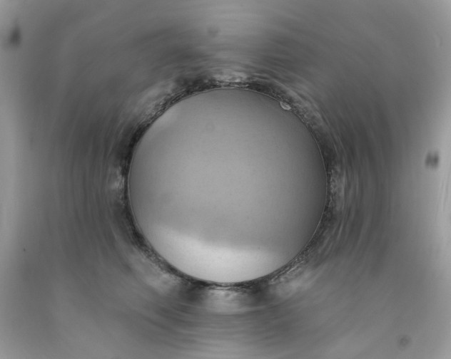 X0000091580614200709051102