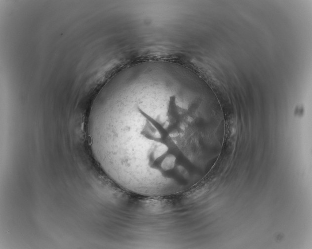 X0000091580615200709051102