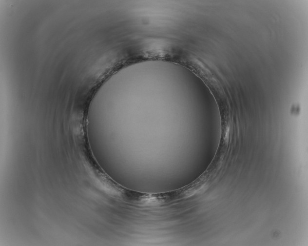 X0000091580616200709051102