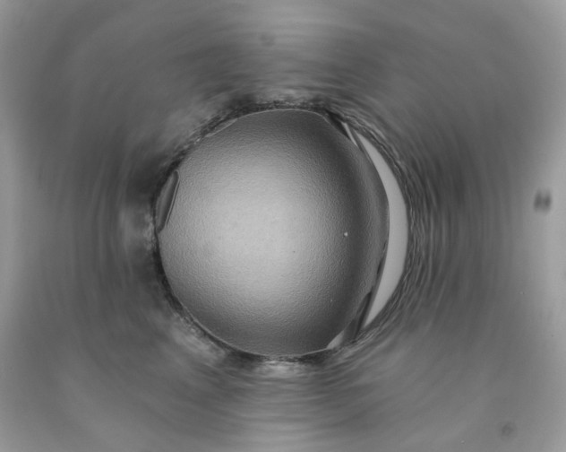 X0000091580617200709051102