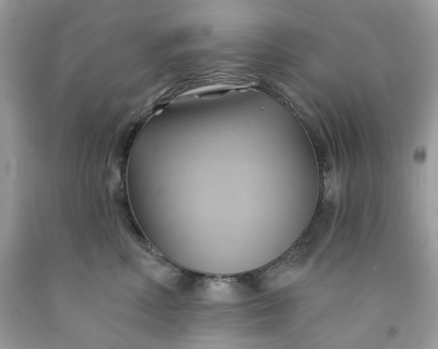 X0000091580618200709051102