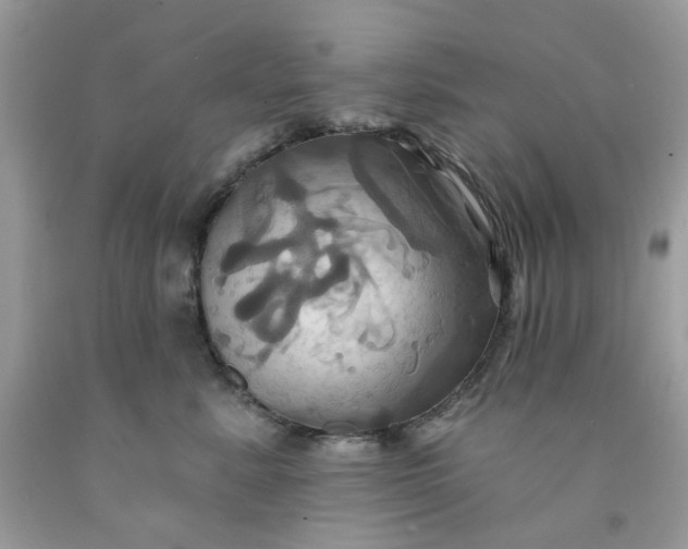 X0000091580619200709051102