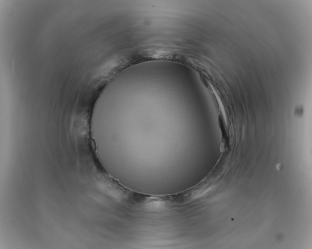 X0000091580620200709051102