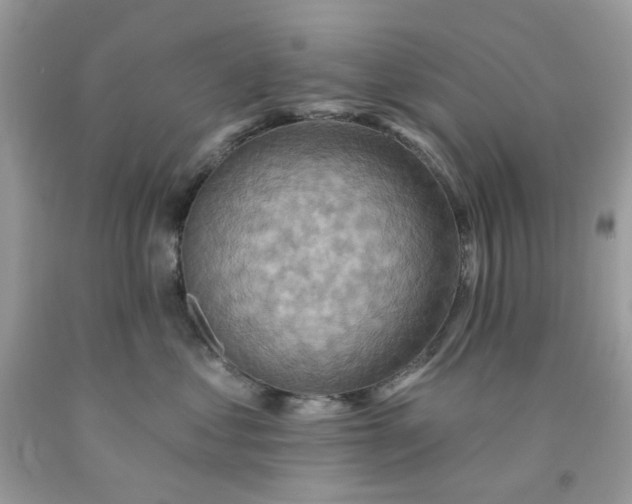 X0000091580621200709051102