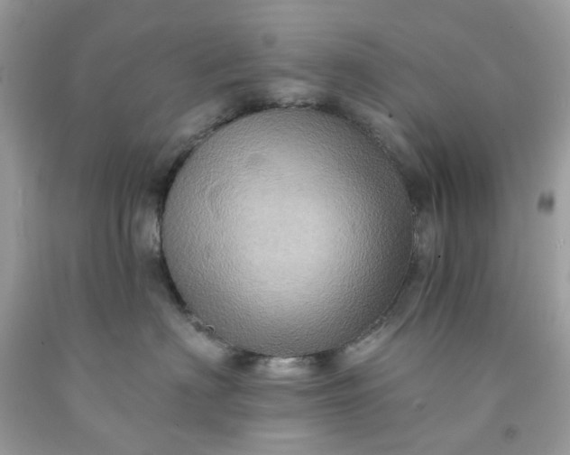 X0000091580622200709051102