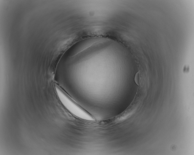 X0000091580624200709051102