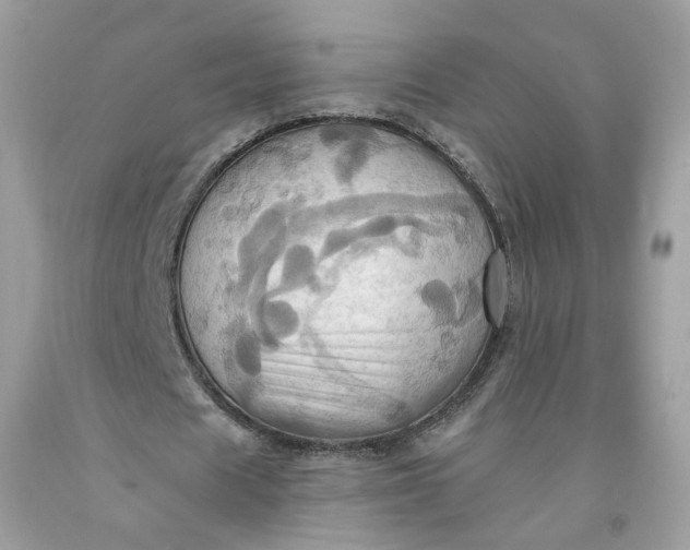 X0000091580625200709051101