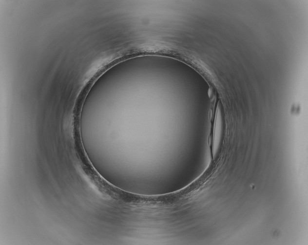 X0000091580626200709051101