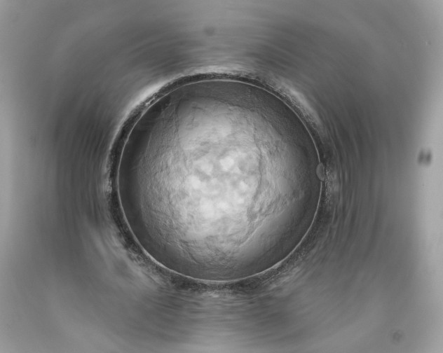 X0000091580628200709051101