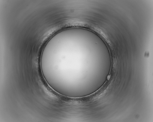 X0000091580629200709051101