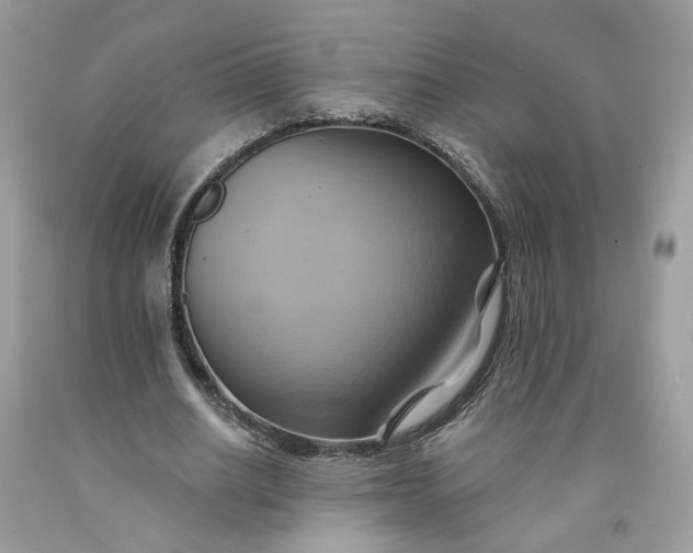 X0000091580630200709051101