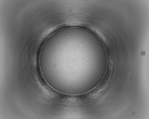 X0000091580631200709051101