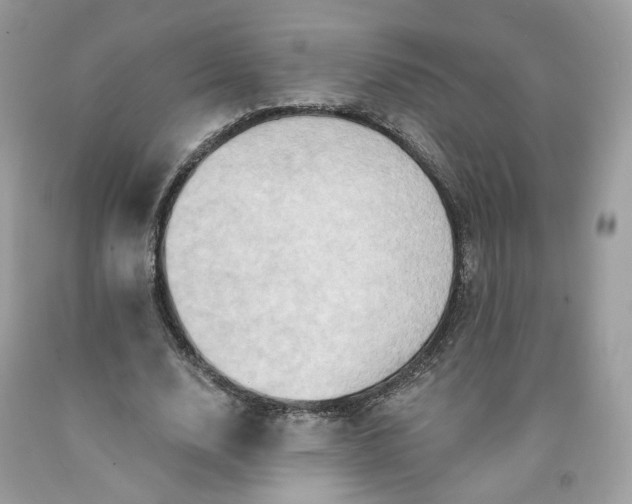 X0000091580632200709051101