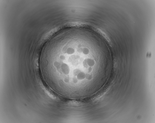 X0000091580633200709051101