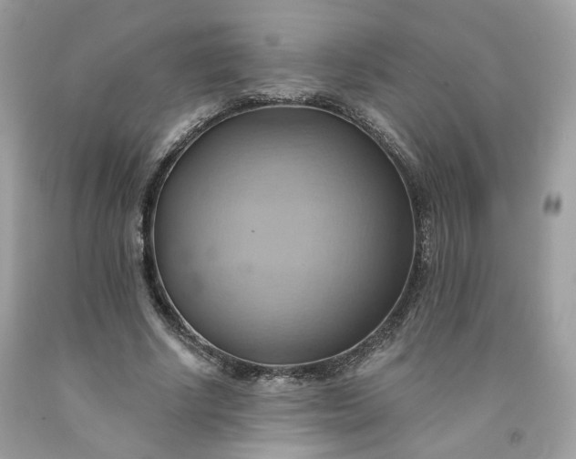 X0000091580634200709051101