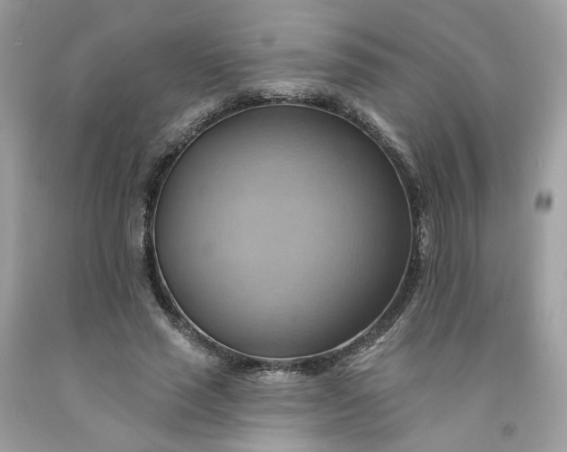 X0000091580637200709051101