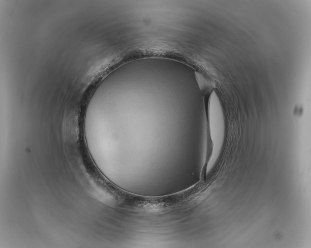 X0000091580638200709051101