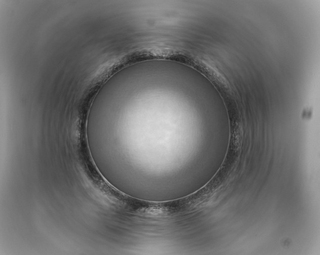 X0000091580639200709051101