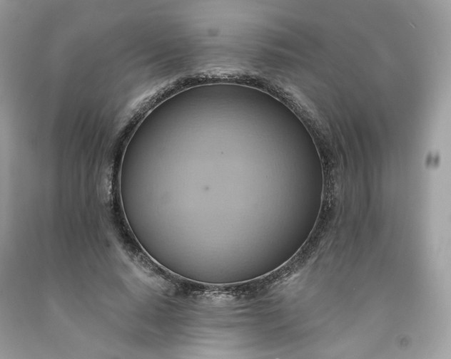 X0000091580640200709051101