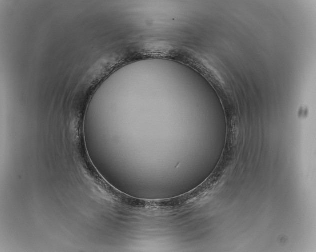 X0000091580641200709051101