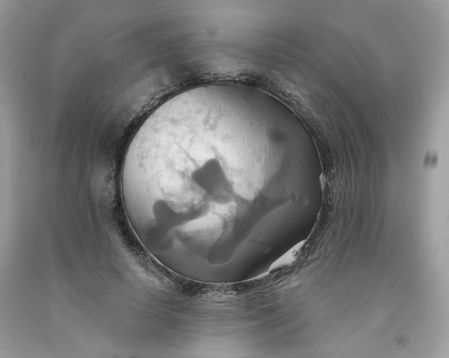 X0000091580642200709051101