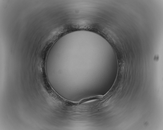 X0000091580643200709051101