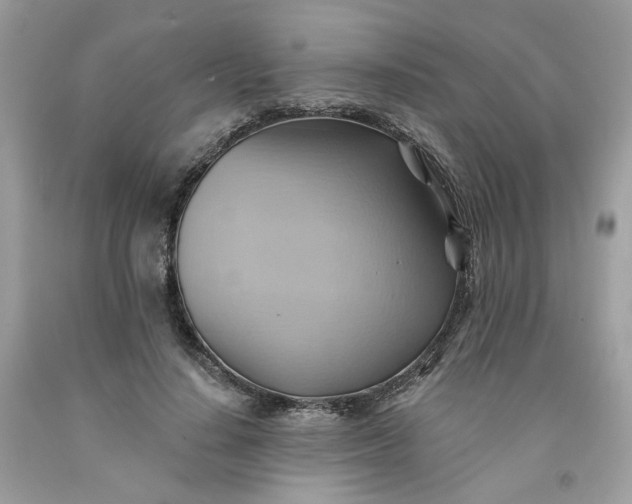 X0000091580644200709051101