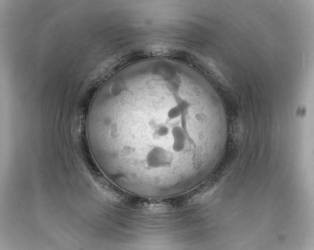 X0000091580645200709051101