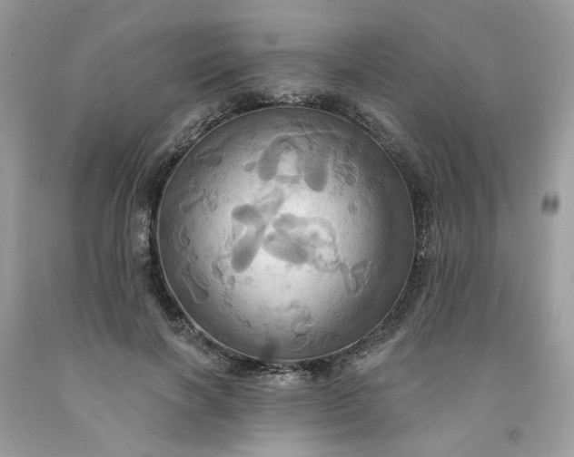 X0000091580646200709051101