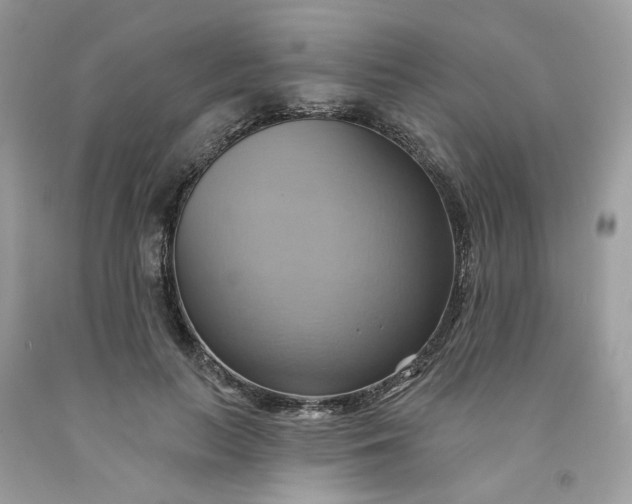 X0000091580647200709051101