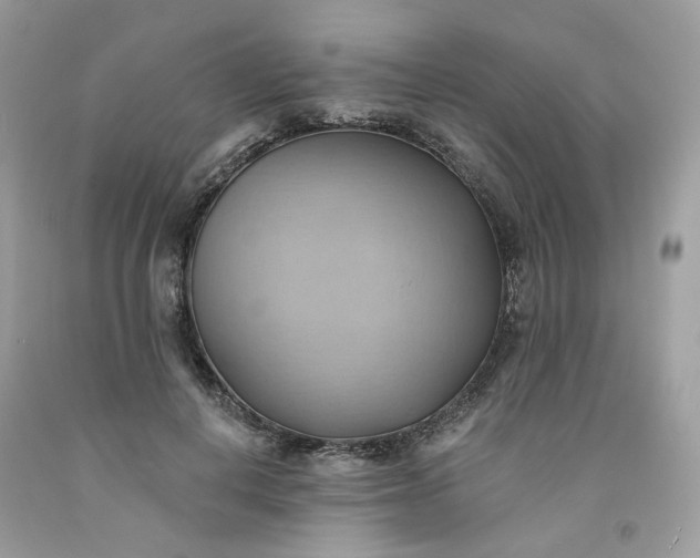 X0000091580648200709051101