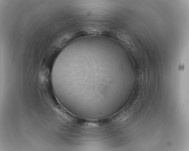 X0000091580649200709051101