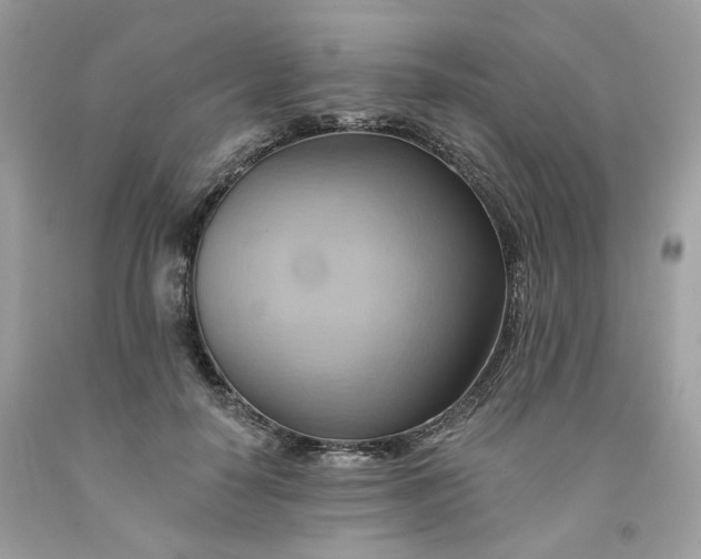 X0000091580650200709051101