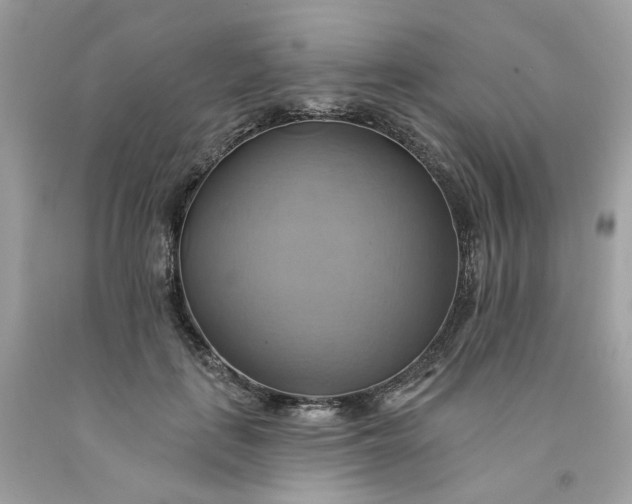 X0000091580651200709051101