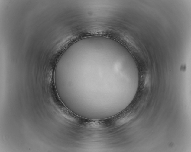 X0000091580652200709051101