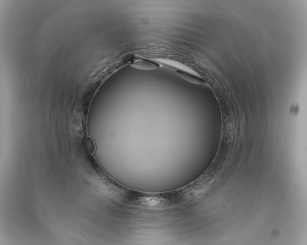 X0000091580654200709051101