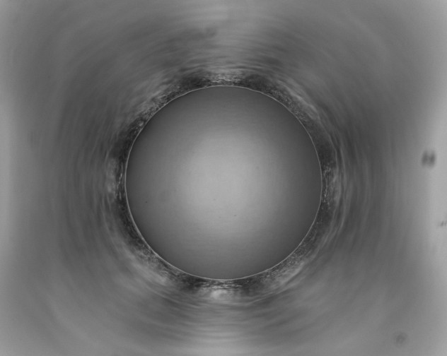 X0000091580655200709051101