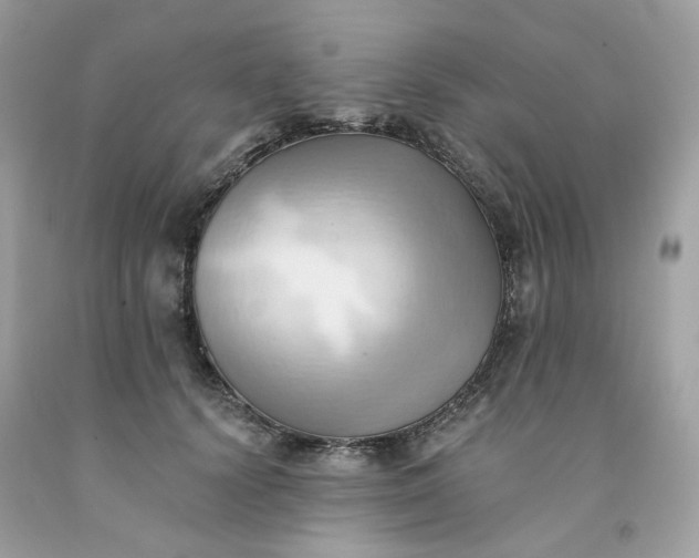 X0000091580656200709051101