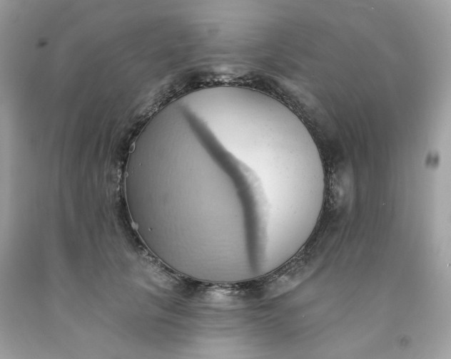 X0000091580657200709051101